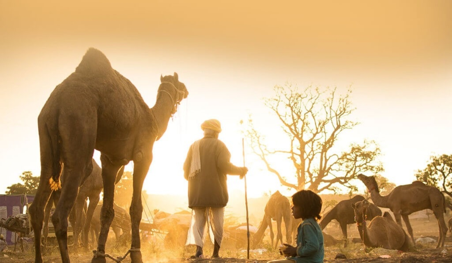 The Vibrant Rajasthan